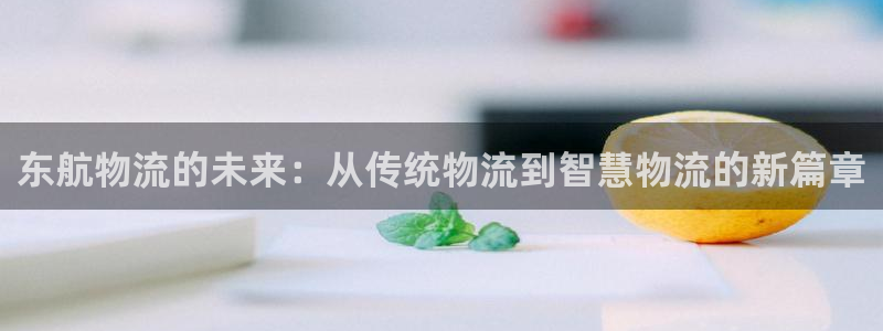 28圈如何注销账号：东航物流的未来：