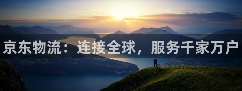 28圈加拿大6.0：京东物流：连接全