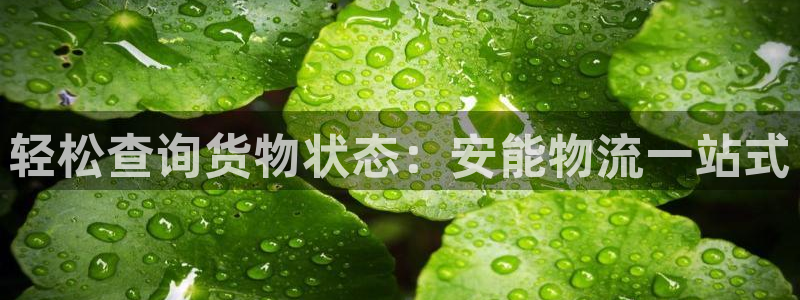 28圈头像：轻松查询货物状态：安能物