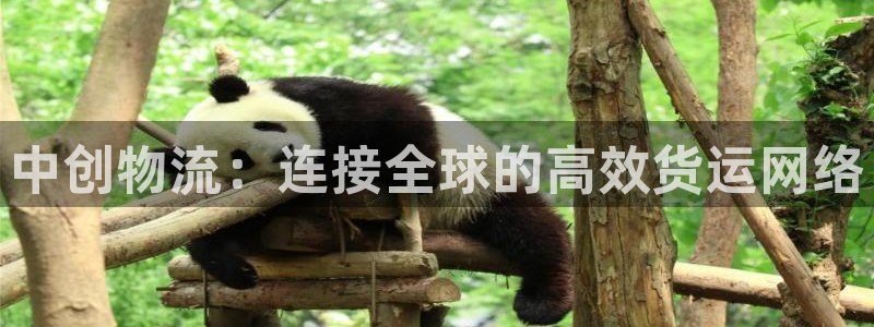 28圈初始资金密码在哪里改：中创物流