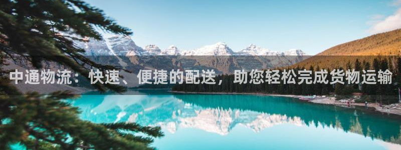 28圈黑不黑：中通物流：快速、便捷的