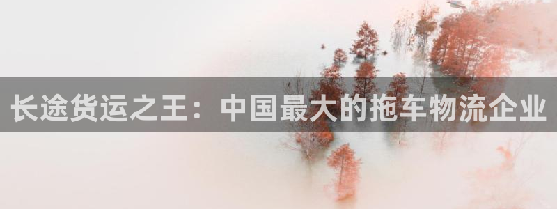 28圈不给提现：长途货运之王：中国最