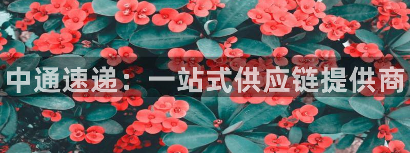 pc28圈怎么注册：中通速递：一站式