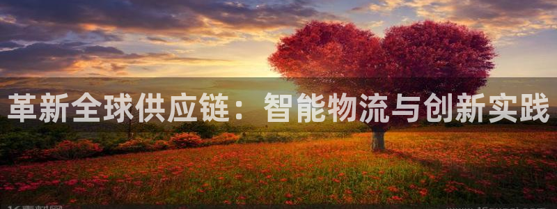 28圈注册网址：革新全球供应链：智能