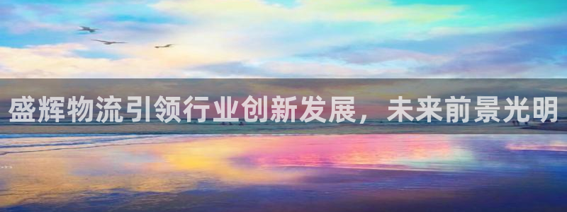 28圈农业银行是狗卡吗：盛辉物流引领