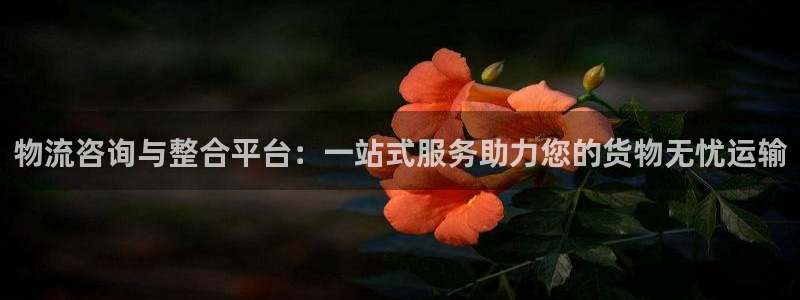 28圈正规吗?：物流咨询与整合平台：