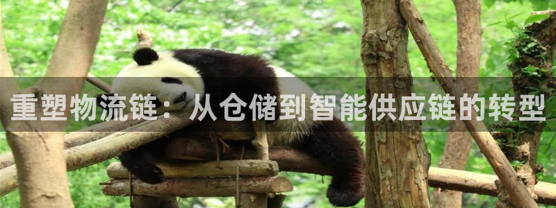 28圈充值不到账怎么办