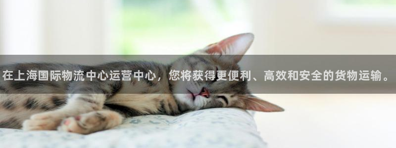 28圈p图上分下款通道