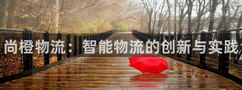 28圈.ccmapp：尚橙物流：智能物流的创新与实践