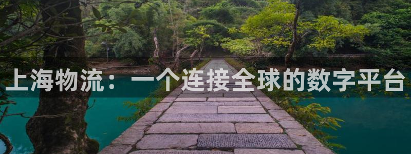28圈注册用户名是什么：上海物流：一个连接全球的数字平台