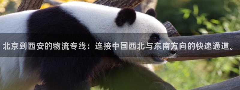 28圈v6能卖多少