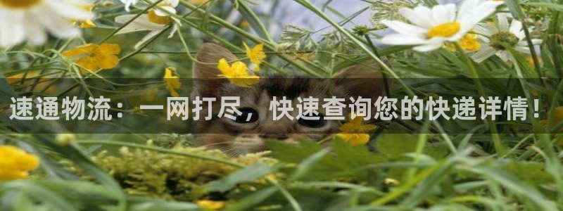 28圈.ccmo