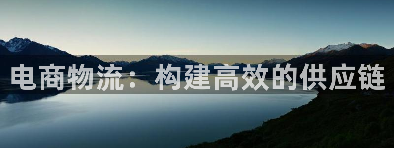 28圈在线预测官网：电商物流：构建高
