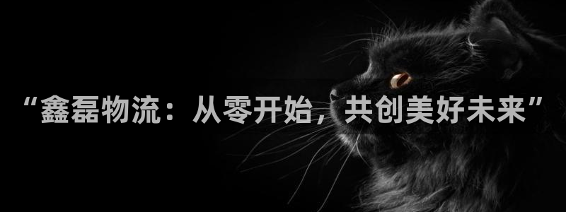 28圈.ccmpcios：“鑫磊物流：从零开始，共创美好未来