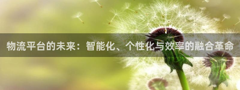 28圈官方